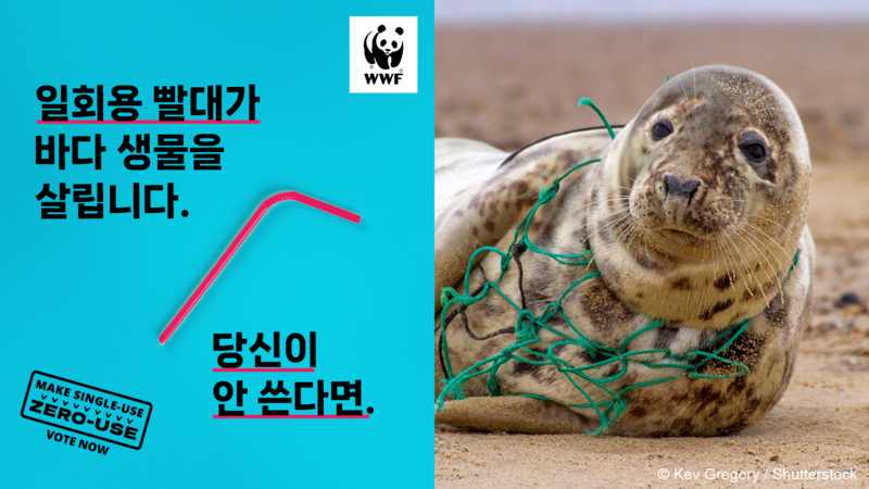 캠페인이미지1
