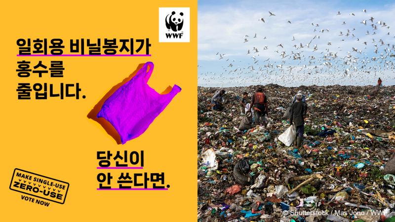 캠페인이미지2