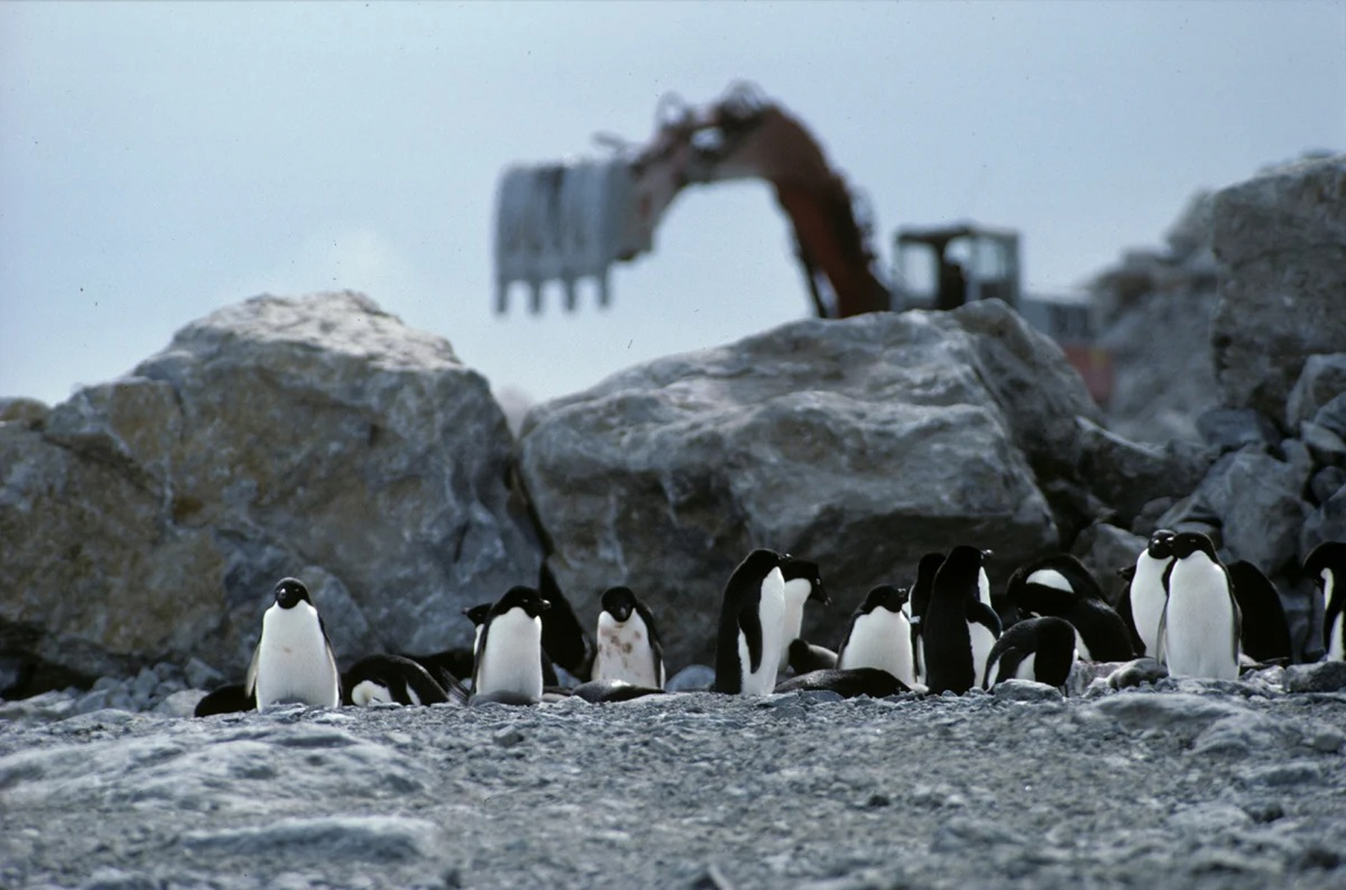 polar_region