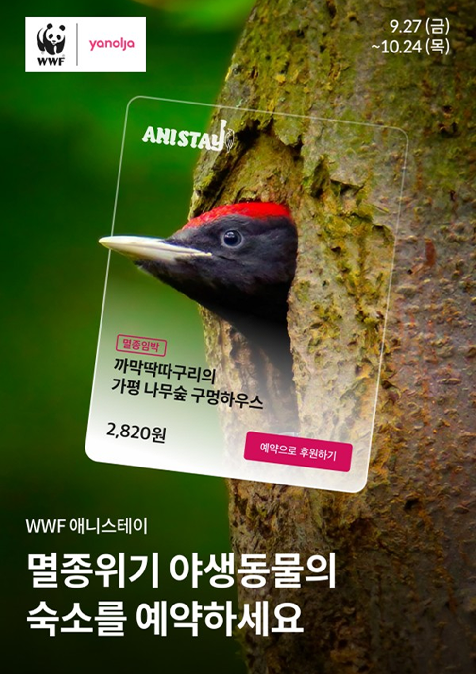 포스터7